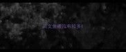 三文鱼喂拉布拉多