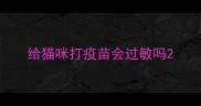 给猫咪打疫苗会过敏吗