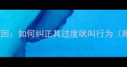 哈士奇吠叫原因如何纠正其过度吠叫行为附训练指南