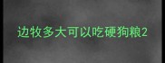 边牧多大可以吃硬狗粮