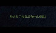 幼犬打了疫苗后有什么现象