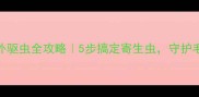 金毛体外驱虫全攻略5步搞定寄生虫守护毛孩健康