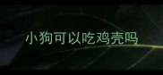 小狗可以吃鸡壳吗