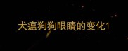 犬瘟狗狗眼睛的变化