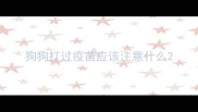 狗狗打过疫苗应该注意什么