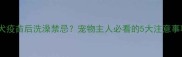 狂犬疫苗后洗澡禁忌宠物主人必看的5大注意事项