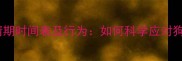 边牧公犬发情期时间表及行为如何科学应对狗狗生理变化