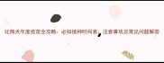 比熊犬年度疫苗全攻略必知接种时间表注意事项及常见问题解答