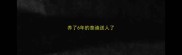 养了6年的泰迪送人了