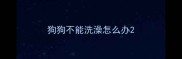 狗狗不能洗澡怎么办