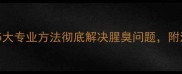 狗狗粪便异味难闻5大专业方法彻底解决腥臭问题附清洁妙招与预防措施