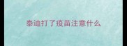 泰迪打了疫苗注意什么