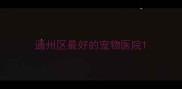 通州区最好的宠物医院