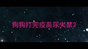 狗狗打完疫苗尿失禁