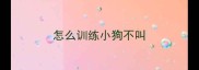 怎么训练小狗不叫