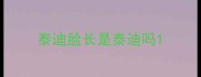 泰迪脸长是泰迪吗