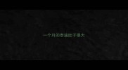 一个月的泰迪肚子很大