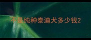 不是纯种泰迪犬多少钱