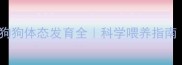 一个月大的狗狗体态发育全科学喂养指南新手必看