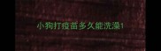 小狗打疫苗多久能洗澡