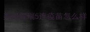 美国辉瑞5连疫苗怎么样