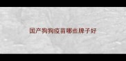 国产狗狗疫苗哪些牌子好