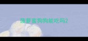菠萝蜜狗狗能吃吗