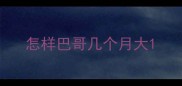 怎样巴哥几个月大