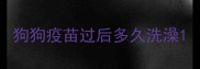 狗狗疫苗过后多久洗澡