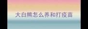 大白熊怎么养和打疫苗