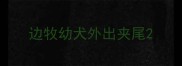 边牧幼犬外出夹尾
