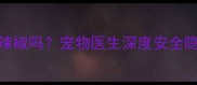 拉布拉多能吃辣椒吗宠物医生深度安全隐患与应对措施