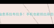 远程拍出治愈系拉布拉多手机也能拍出杂志级宠物大片