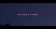 拉布拉多犬的外表特点