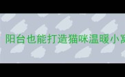 南方冬天养猫必看阳台也能打造猫咪温暖小窝的5个秘诀