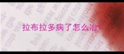 拉布拉多病了怎么冶