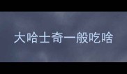 大哈士奇一般吃啥