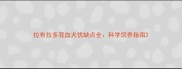拉布拉多混血犬优缺点全科学饲养指南