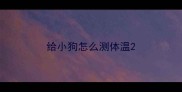 给小狗怎么测体温
