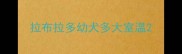 拉布拉多幼犬多大室温