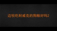 边牧吃耐威克的狗粮好吗