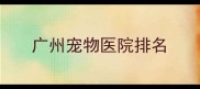 广州宠物医院排名