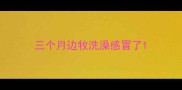三个月边牧洗澡感冒了