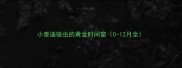 小泰迪驱虫的黄金时间窗0-12月全