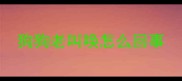 狗狗老叫唤怎么回事