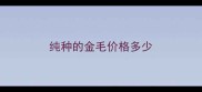 纯种的金毛价格多少