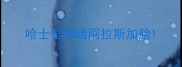 哈士奇眼睛阿拉斯加脸