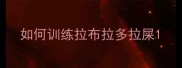 如何训练拉布拉多拉屎