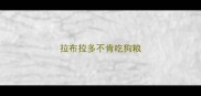 拉布拉多不肯吃狗粮