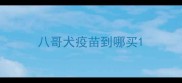 八哥犬疫苗到哪买